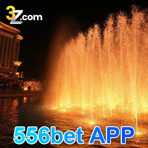 556bet APP Plataforma
